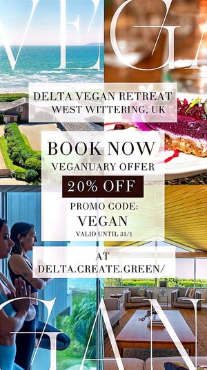 Veganuary offer at DELTA - Vegan Retreat in West Wittering
