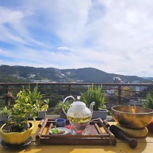 Find your true self here at Book Coffee - Dalat Harmony Garden in Da Lat
