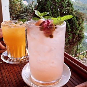 Enjoy vegan drinks at Book Coffee - Dalat Harmony Garden in Da Lat