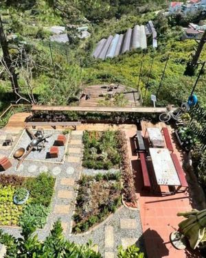 Enjoy yourself in a small garden with valley view at Book Coffee - Dalat Harmony Garden in Da Lat