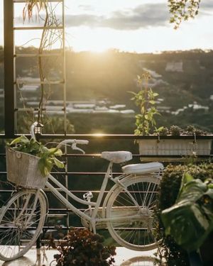 Be friend with nature at Book Coffee - Dalat Harmony Garden in Da Lat