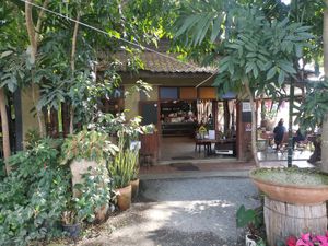  at Baanrainaifun Organic Garden in Chiang Mai