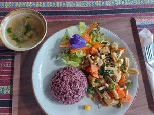  at Baanrainaifun Organic Garden in Chiang Mai