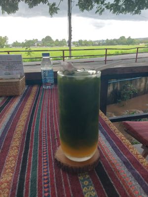  at Baanrainaifun Organic Garden in Chiang Mai