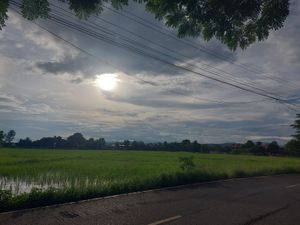  at Baanrainaifun Organic Garden in Chiang Mai