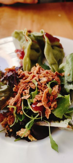 Gyozas veganas at Sushi Cru in Valencia