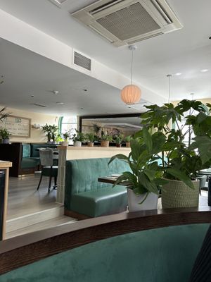   at Tofu Vegan - Gloucester Rd in South West London