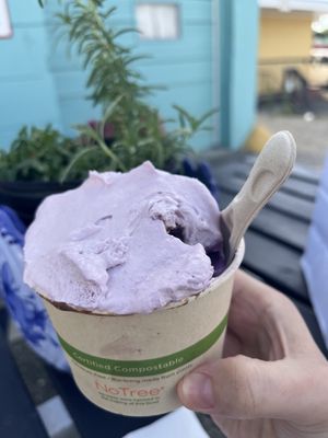 ube gelato with ube whipped cream  at Davvero Gelato in Richmond