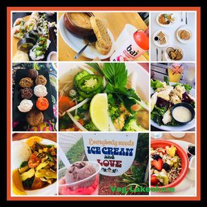Featured Mizu Sushi, The Good Earth - Holland, MI, Anna's House Holland, Saunders Family Bakery, Taste of Asia, New Holland Brewing Co., Thai Avenue, Captain Sundae, The Biscuit.
 at Veg Lakeshore in Holland