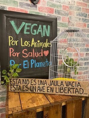  at Green's Parrilla Vegana in Veracruz