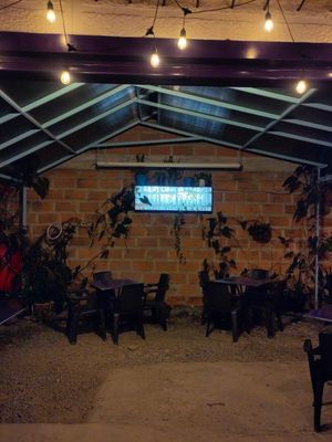 Patio space at Antimateria Libros y Café in Medellin