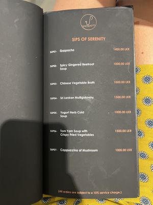 Menu  at V Eleven One in Dehiwala-mount Lavinia