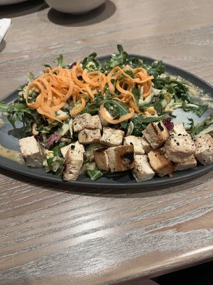 Chow mein salad with tofu  at WALT DISNEY WORLD - Wailulu Bar and Grill  in Lake Buena Vista