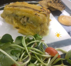 O brilho da Tribo do Sol e a magia da alimentação viva e cru na Amazônia é algo digno de destaque at Tribo do Sol in Alter Do Chao