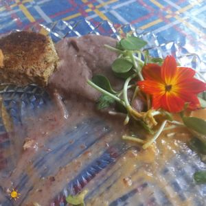 #Veganuary at Tribo do Sol in Alter Do Chao