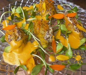 flor de cambuquira recheada com massa de grão de bico, coco, linhaça e milho. Polpa de tucumã, brotos de girassol e pétalas de cosmos. #étudonosso at Tribo do Sol in Alter Do Chao