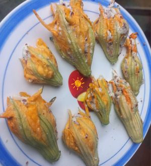 amar o belo da vida! at Tribo do Sol in Alter Do Chao