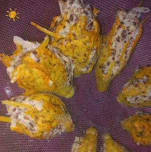  at Tribo do Sol in Alter Do Chao