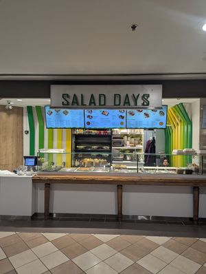 Menu at Salad Days in Toronto