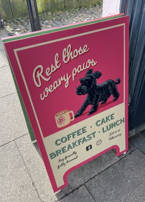 Dog friendly   at Badger & Bean  in Howden