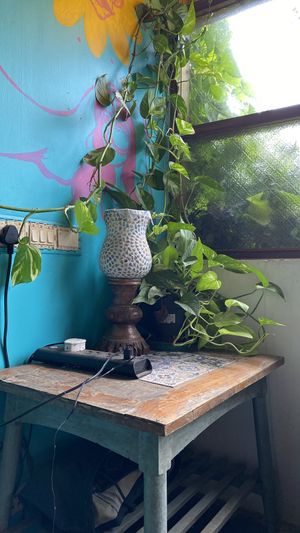 Beautiful details   at Terrassen Cafe in Kuilapalayam