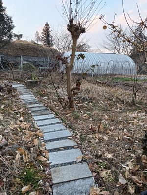 The restaurant is in the back of this little hand made street. #Veganuary at Cafe Cocochi in Taketa
