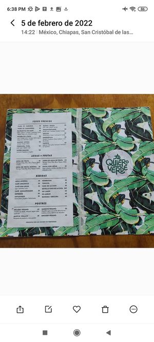 Menu en Español. Spanish Menu at Te Quiero Verde in San Cristobal De Las Casas