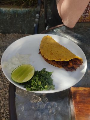Al Pastor Taco at Te Quiero Verde in San Cristobal De Las Casas