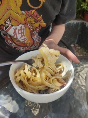 Half portion of the alfredo pasta at Te Quiero Verde in San Cristobal De Las Casas