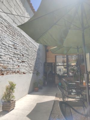 Courtyard at Te Quiero Verde in San Cristobal De Las Casas