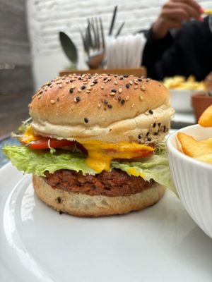  at Te Quiero Verde in San Cristobal De Las Casas