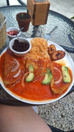 Enchiladas at Te Quiero Verde in San Cristobal De Las Casas