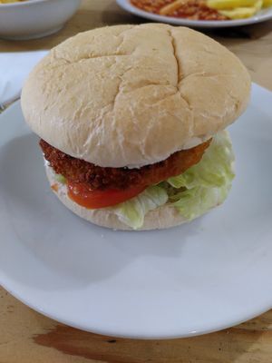 Vegan burger with salad (January 2025) at The Animalarium in Ceredigion