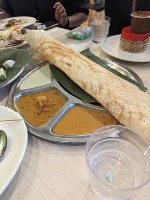 Dosa at Gokul Raas Vegetarian - Little India in Central Singapore