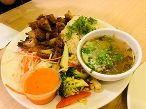 Chicken rice  at Gokul Raas Vegetarian - Little India in Central Singapore