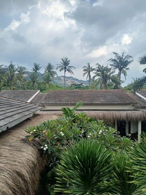 View at yoga spot at Xanadu Surf & Yoga in 