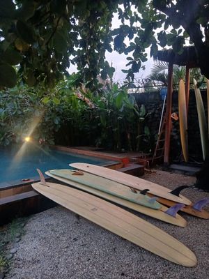 Pool at Xanadu Surf & Yoga in 