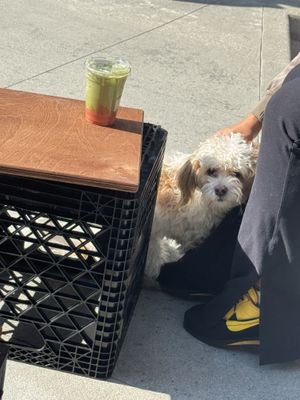 vibe  at mu.sō coffee  in Los Angeles