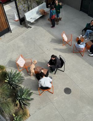 lovely outside area  at mu.sō coffee  in Los Angeles