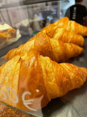  at Black Cat Santiago in Santiago De Compostela