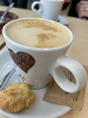   at Black Cat Santiago in Santiago De Compostela