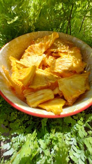 Deshidrated PineApple at vegantamarindo in Tamarindo