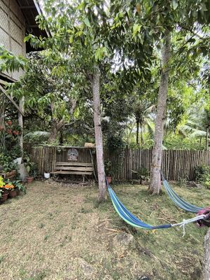🥰 at Firefly Treehouse in Siquijor