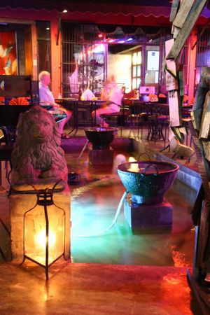 i love the fish and turtles at Lords Restaurant Complex in Negombo