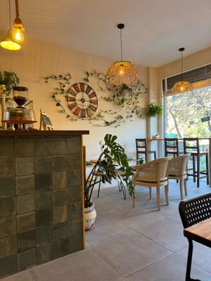  at fronda cafe  in Valencia