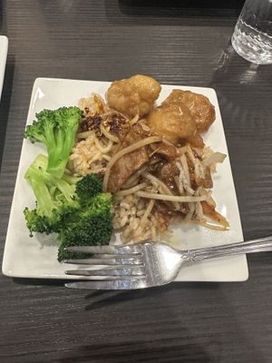 Mongolian beef and orange chicken  at Veggie Garden in Mountain View