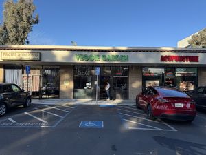   at Veggie Garden in Mountain View