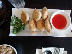 Potstickers at Veggie Garden in Mountain View