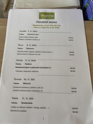 daily menu  at Vegevita in Valasske Mezirici