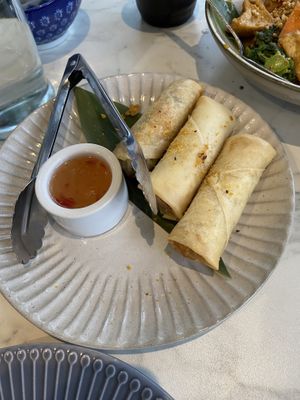 Vegan spring rolls  at Von Thai in Adelaide